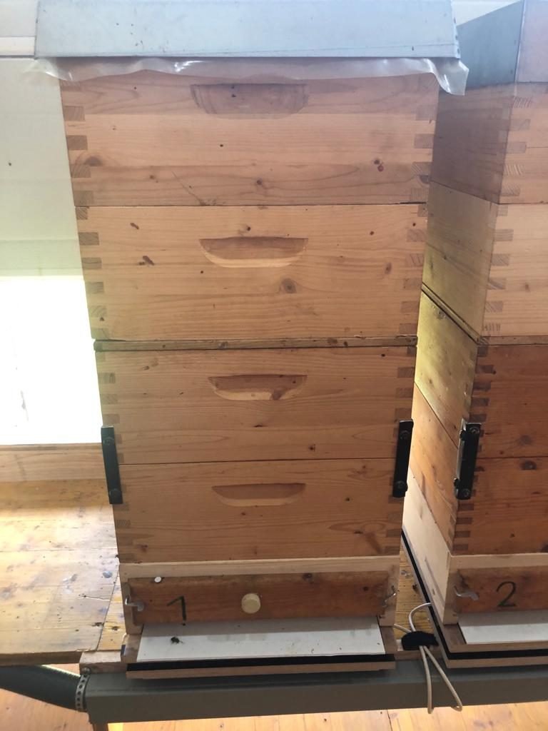 Zwei Bienenstöcke mit Kennzeichnung Waage 1 und Waage 2 auf Prüfaufbau
